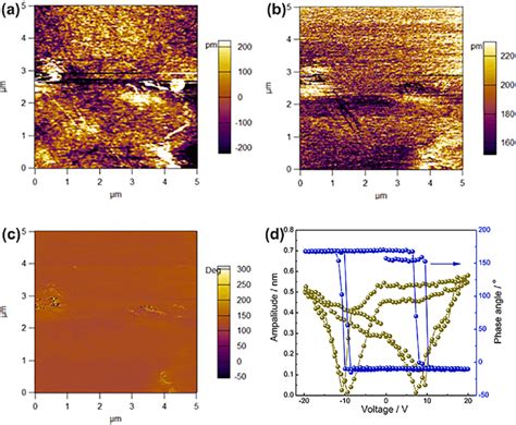 The Afm Picture A Pfm Amplitude Image B Pfm Phase Image B And