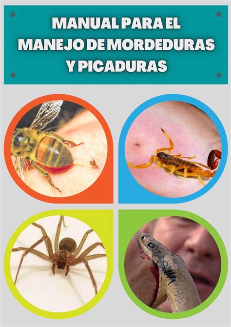 Manual Para El Manejo De Picaduras Y Mordeduras By Luybeca Issuu