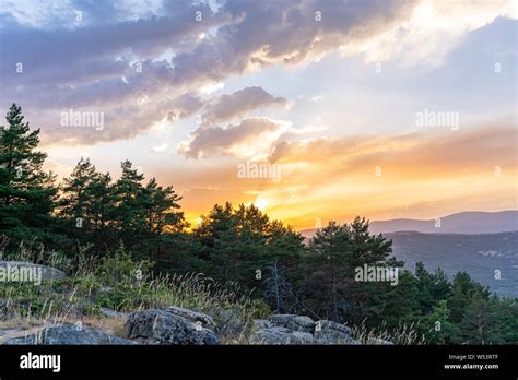 Mountain forest in a beautiful sunset Stock Photo - Alamy