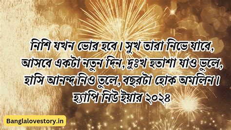 হ্যাপি নিউ ইয়ার 2024 শুভেচ্ছা বার্তা এসএমএস ক্যাপশন ও ছবি