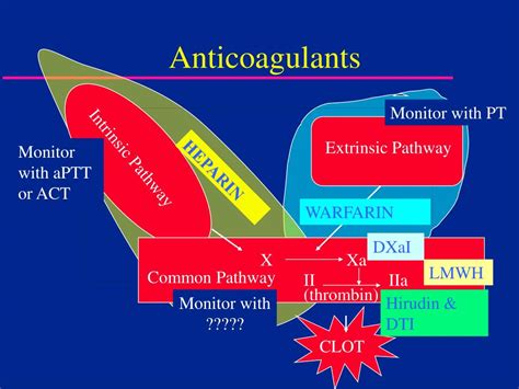 Ppt Coagulation Testing Powerpoint Presentation Free Download Id