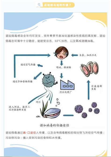 诺如病毒进入高发期！儿科医生教您如何预防 丰县人民医院