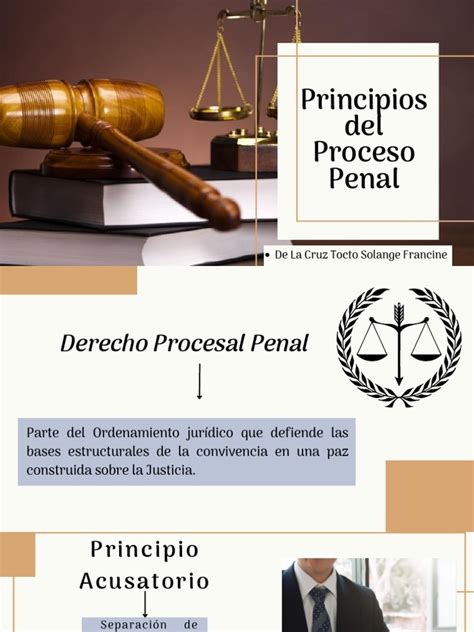 Principios Del Proceso Penal Pdf Procedimiento Criminal Derecho Penal