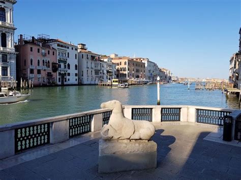 Venice Peggy Guggenheim Collection Tour With Private Guide