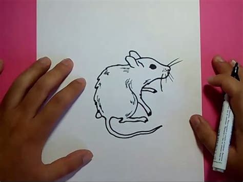 Como Dibujar Un Raton Paso A Paso How To Draw A Mouse Youtube