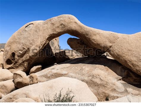 Tree Rock Trail Images Stock Photos D Objects Vectors