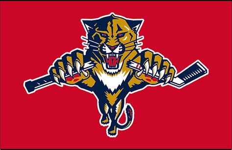 Florida Panther 1080p 2k 4k 5k Hd Wallpapers Free Download