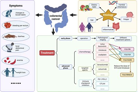 Frontiers Ferroptosis Open A New Door For Colorectal Cancer Treatment