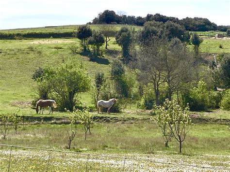 Lodge Sur Pilotis Miel Et Coton Avec Jacuzzi Privatif Insolite Nature