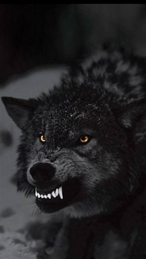 Angry Wolf Wallpapers - Top Free Angry Wolf Backgrounds - WallpaperAccess