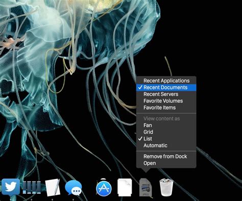 How To Add A Recent Items Menu Stack To The Dock Of Mac OS X