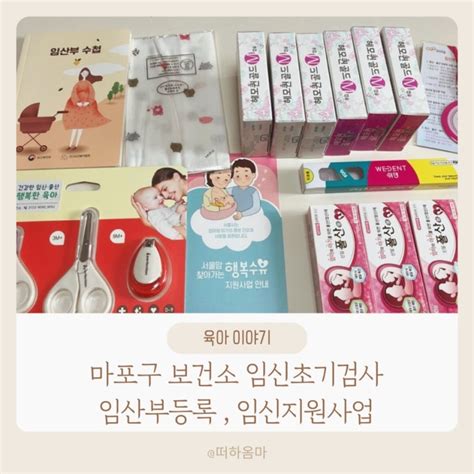 마포구 보건소 임신초기검사 산전검사 비용 임산부 등록 임신지원사업 네이버 블로그