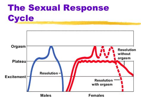 Sexual Disorders The Pelvicure Center Dr Hamod