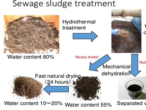 Sewage Sludge Treatment Plant Price - Sludge Carbonization Machine