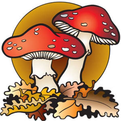 Vector Mushroom | FreeVectors