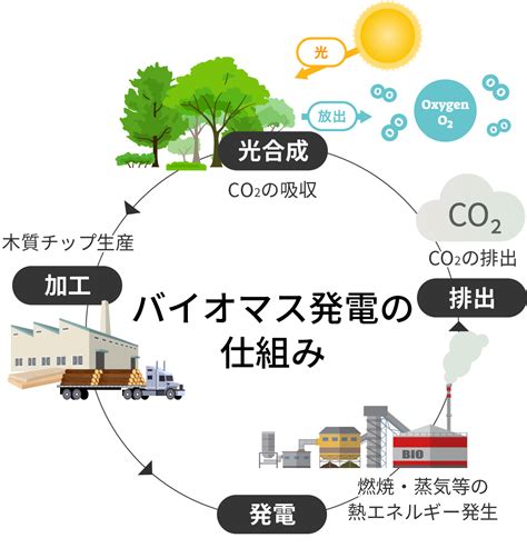 バイオマスの検索結果 Yahoo きっず検索