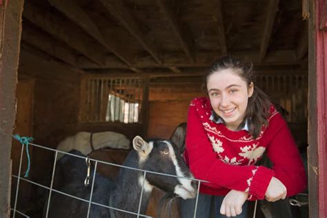 Innovative Housing and Shelter Designs for Profitable Goat Farming