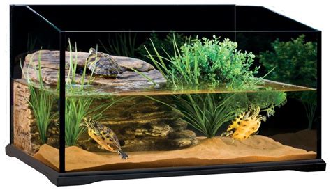 Turtle Tank For The Well Being Of Your Turtles Info Turtle Turtle