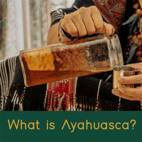 Ayahuasca preparation. Diet, mental clarity and everything you need to know on how to prepare ...