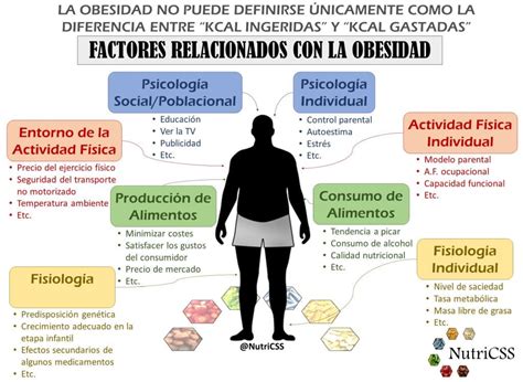 Factores Relacionados Con La Obesidad