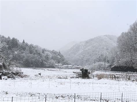 久しぶりの雪。 今日ははっかく亭さんでランチ！ 無農薬・無肥料で作る あいがも米農家の のんびり日記