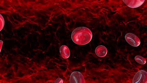 Blood cells loop animation 39313963 Stock Video at Vecteezy