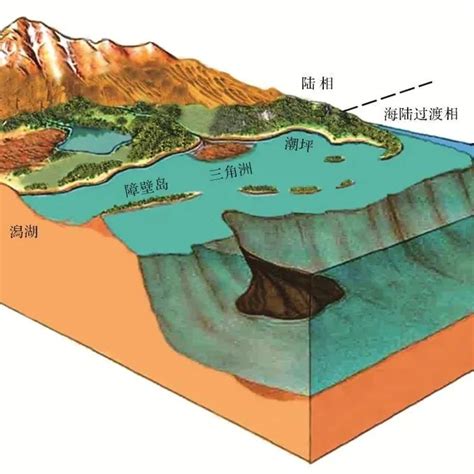 【地理素材】喜马拉雅块体中奥陶世腹足类化石及古地理演化研究进展，地层中沉积相的识别标志，化石及其形成在地理试题中的体现阿来化石地理新浪新闻