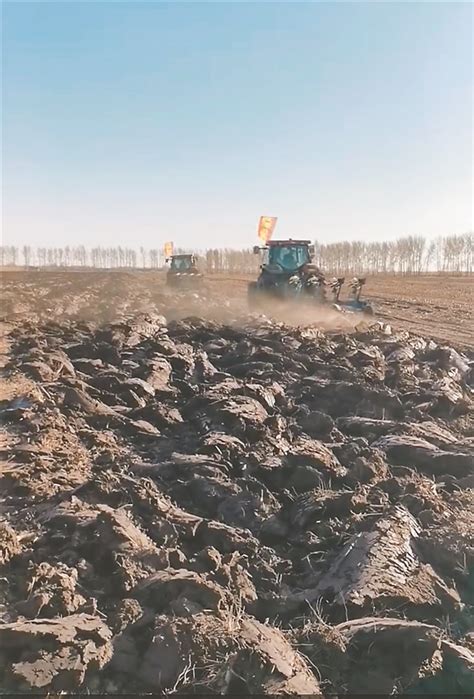 巴彦：土地托管给“田保姆” “甩手掌柜”的钱袋子鼓了 国际在线移动版