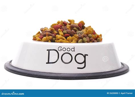 Good Dog Food stock photo. Image of pampered, nutrients - 2620000