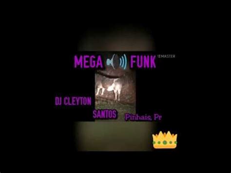 Megafunk Grav O O Mini Boi Boi Boi Dj Cleyton Santos Youtube