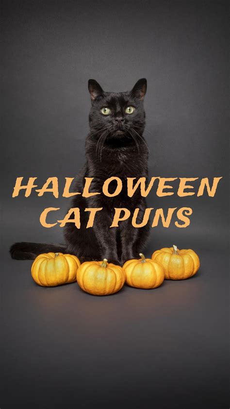 40 Claw-some Halloween Cat Puns to Make You Howl - Best Jokes, Puns ...