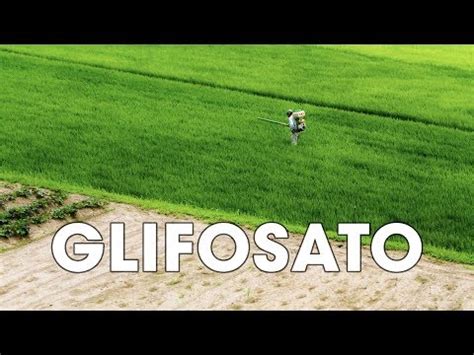 CercoSano Per Benessere Globale 2019 Il Glifosato O Glifosate Nell