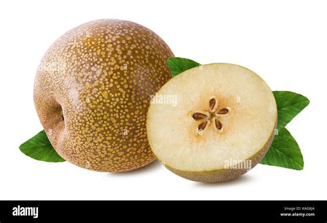 Chinese Pear Pyrus Pyrifolia Hi Res Stock Photography And Images Alamy