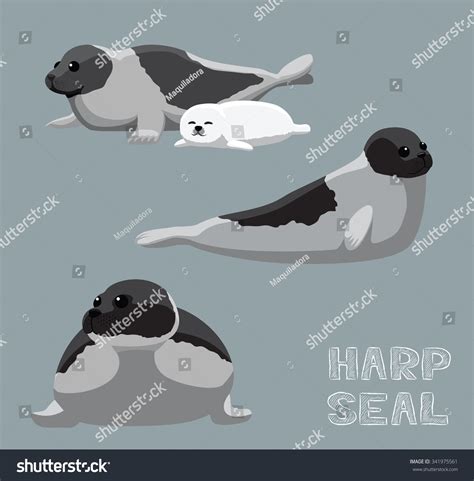 Harp Seal Cartoon Vector Illustration Stock Vector (Royalty Free) 341975561