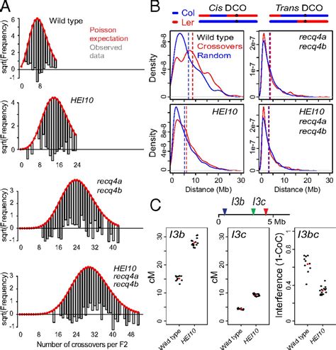 Massive Crossover Elevation Via Combination Of Hei10 And Recq4a Recq4b