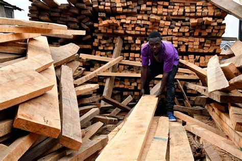 Timber As A Solution To Africas Growing Urbanisation Problem Nation