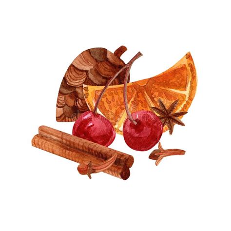 Watercolor Illustration Of Cherry Orange Spices And Pine Cone On An