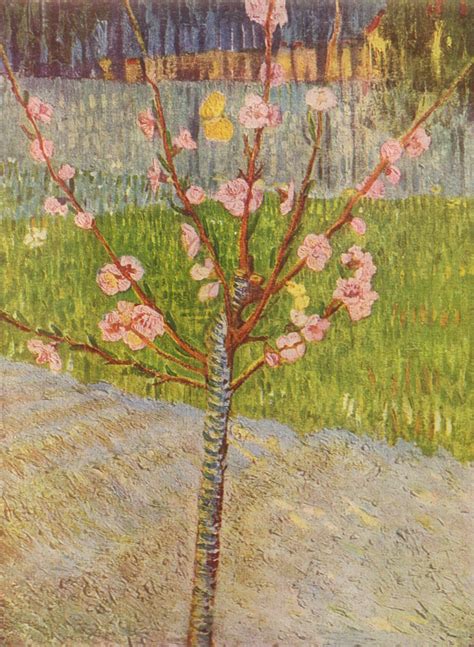 Almond Tree In Bloom By Van Gogh Art Kunst Van Gogh Museum Und