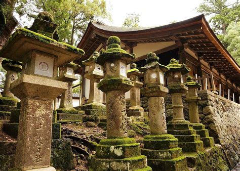 What Are Toro Discovering Traditional Japanese Lanterns