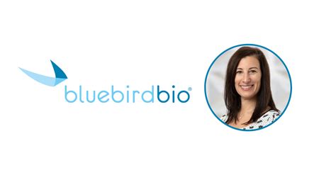 Bluebird Bio Appoints Head Of Total Rewards And Hr Ops From Search By Hanold Associates Hanold