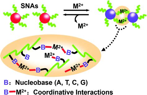 Chemically Modified Nucleic Acid Biopolymers Used In Biosensing