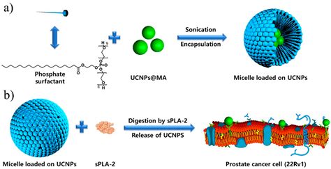 Nanomaterials Free Full Text Biomimetic Nanomaterials Diversity Technology And Biomedical