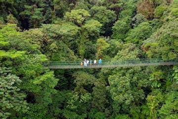 Selvatura Hanging Bridges | Monteverde | Book Now