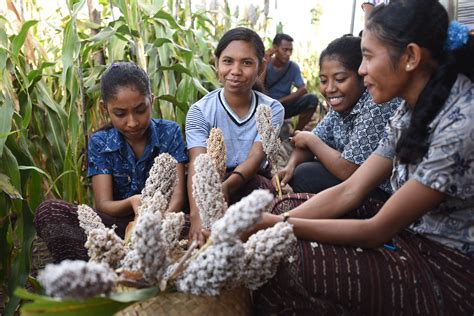 Ketahanan Pangan Dan Peran Perempuan Biodiversity Warriors