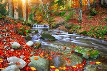 Autumn Creek And Waterfall Free Stock Photo - Public Domain Pictures