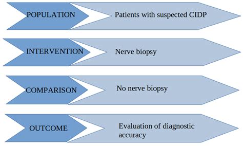 Diagnostics Free Full Text Relevance Of Nerve Biopsy In The