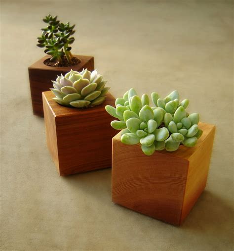 20 Exceptional Modern Style Planter Designs