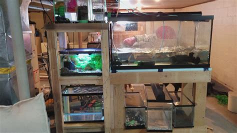 Seting Up My Central Air System For My Fish Room And Fish Room Update