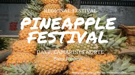 Pineapple Festival Daet Philippines | Philippine Travel Destinations