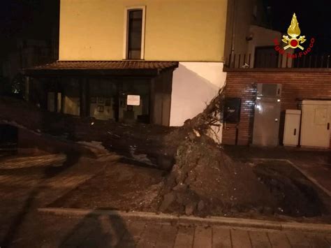 Tragedia Sfiorata Al Centro Di Salerno Grosso Albero Si Spezza E Cade